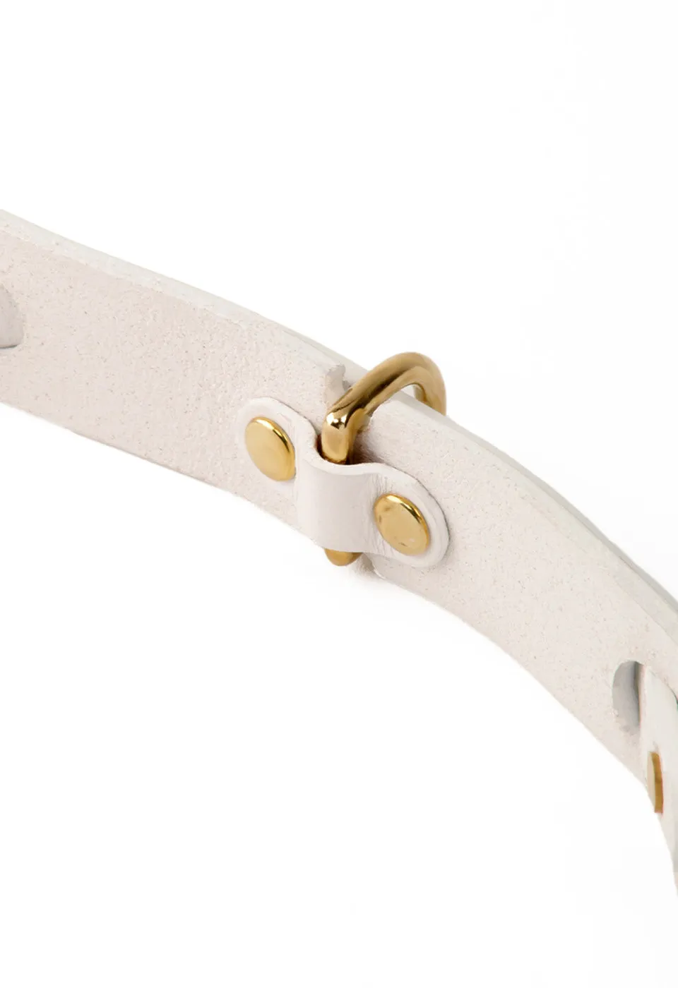Arns Y Collar 2 En 1
